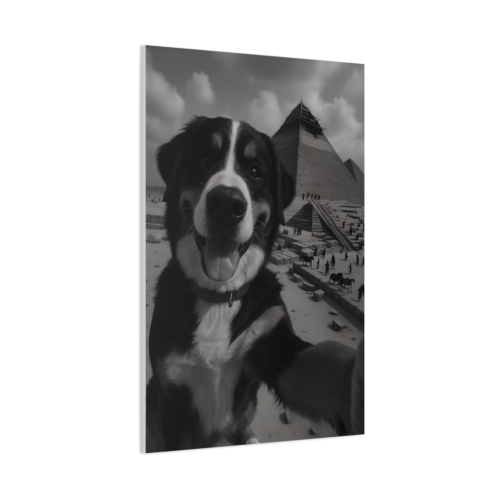 Dog in front of a pyramid with a beach background